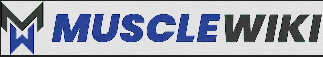 MuscleWiki健身指南
